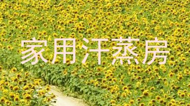 家用汗蒸房