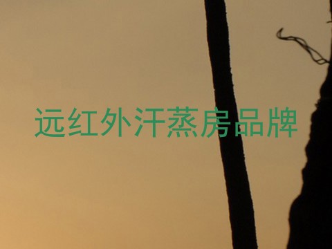远红外汗蒸房品牌