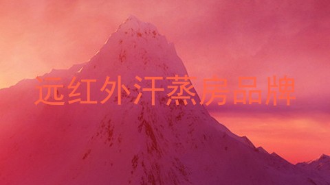 远红外汗蒸房品牌