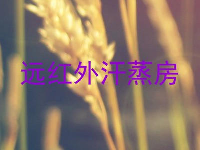 远红外汗蒸房