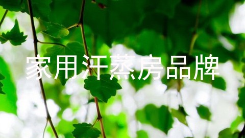 家用汗蒸房品牌