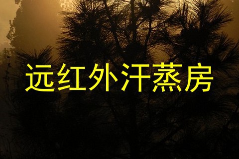 远红外汗蒸房