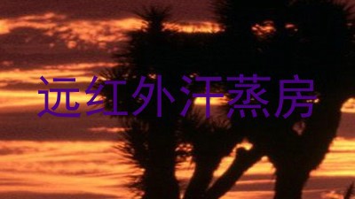 远红外汗蒸房