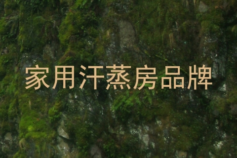 家用汗蒸房品牌