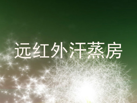 远红外汗蒸房