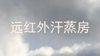 远红外汗蒸房