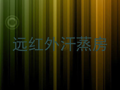 远红外汗蒸房