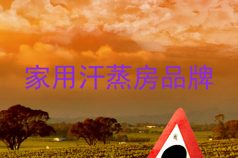家用汗蒸房品牌