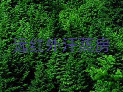 远红外汗蒸房