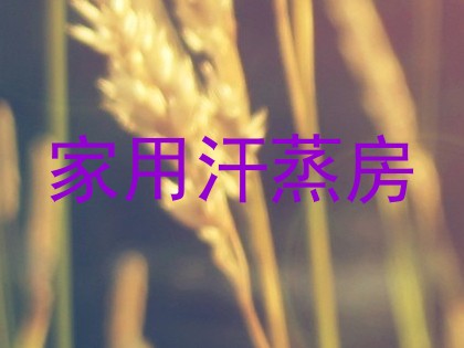 家用汗蒸房