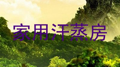 家用汗蒸房