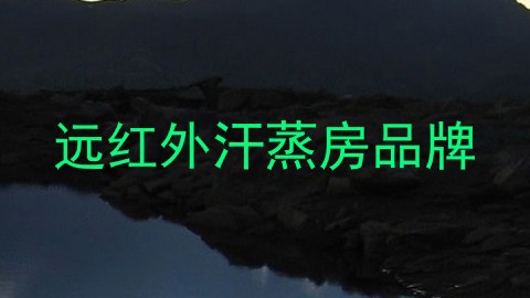 远红外汗蒸房品牌