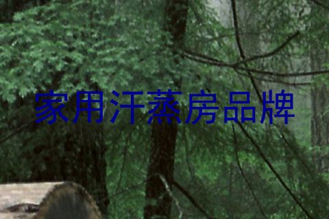 家用汗蒸房品牌