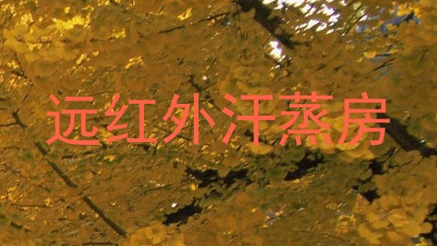 远红外汗蒸房