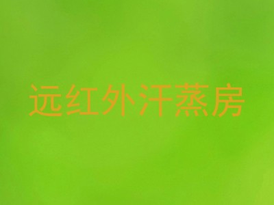 远红外汗蒸房