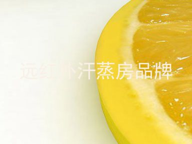 远红外汗蒸房品牌