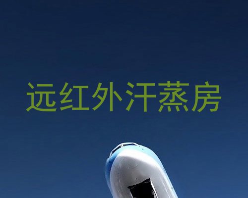 远红外汗蒸房