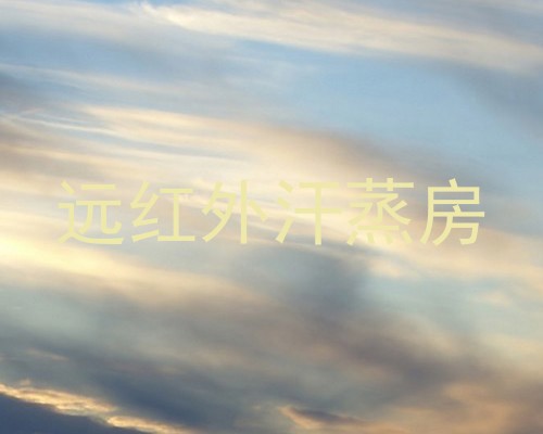 远红外汗蒸房