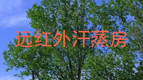 远红外汗蒸房