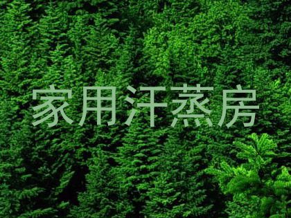 家用汗蒸房