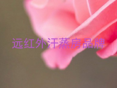 远红外汗蒸房品牌