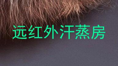 远红外汗蒸房