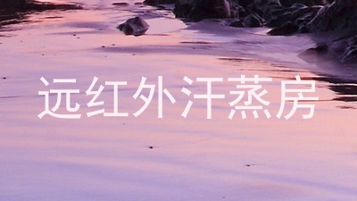 远红外汗蒸房