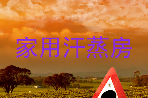 家用汗蒸房