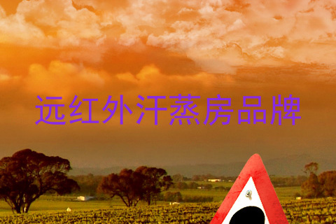 远红外汗蒸房品牌