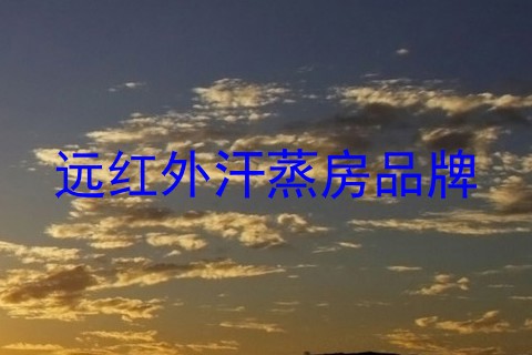 远红外汗蒸房品牌
