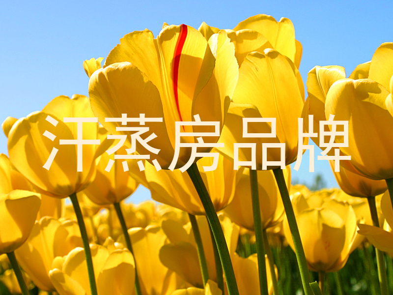 汗蒸房品牌