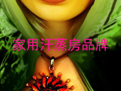 家用汗蒸房品牌