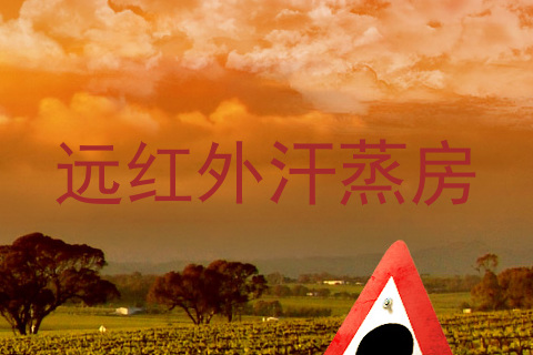 远红外汗蒸房