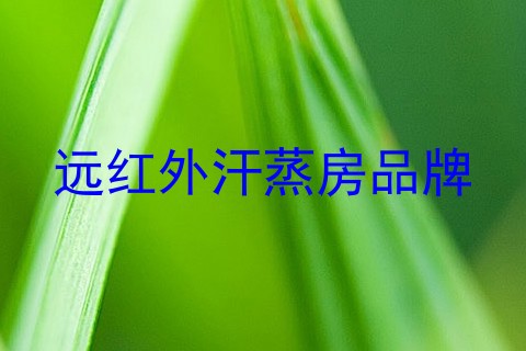 远红外汗蒸房品牌
