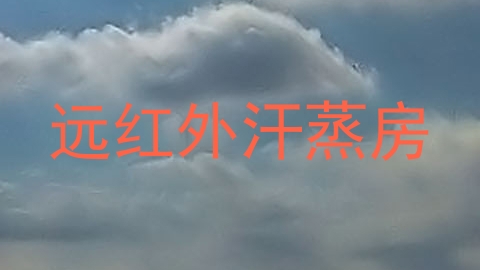 远红外汗蒸房