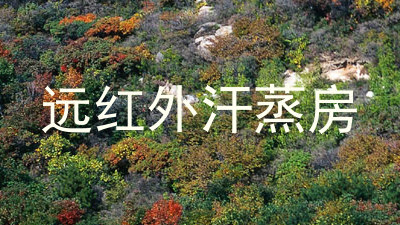 远红外汗蒸房