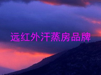 远红外汗蒸房品牌