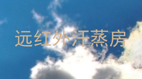 远红外汗蒸房