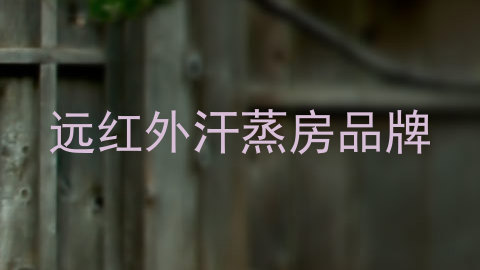 远红外汗蒸房品牌