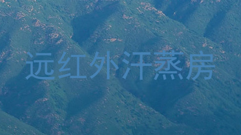 远红外汗蒸房