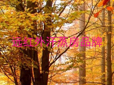 远红外汗蒸房品牌