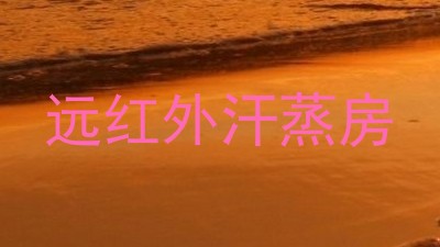 远红外汗蒸房