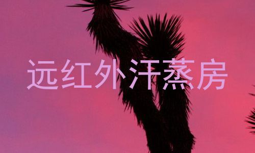 远红外汗蒸房