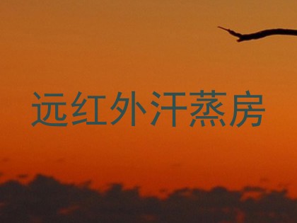 远红外汗蒸房