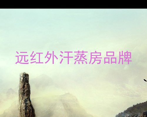 远红外汗蒸房品牌