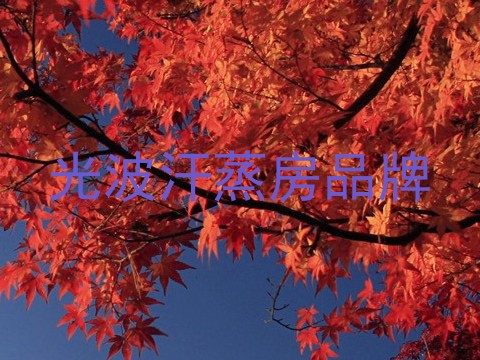 光波汗蒸房品牌