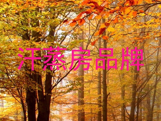 汗蒸房品牌