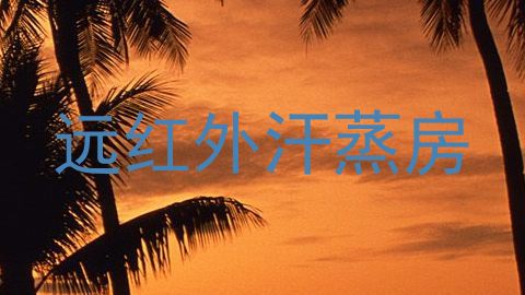 远红外汗蒸房