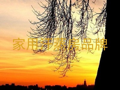 家用汗蒸房品牌