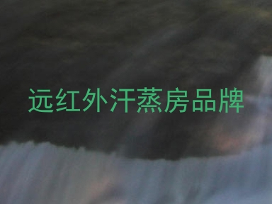 远红外汗蒸房品牌